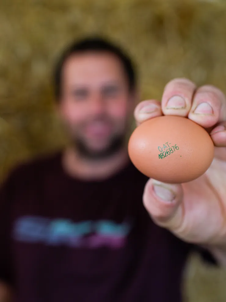 Farmer holding up a fresh brown egg with printed code in focus